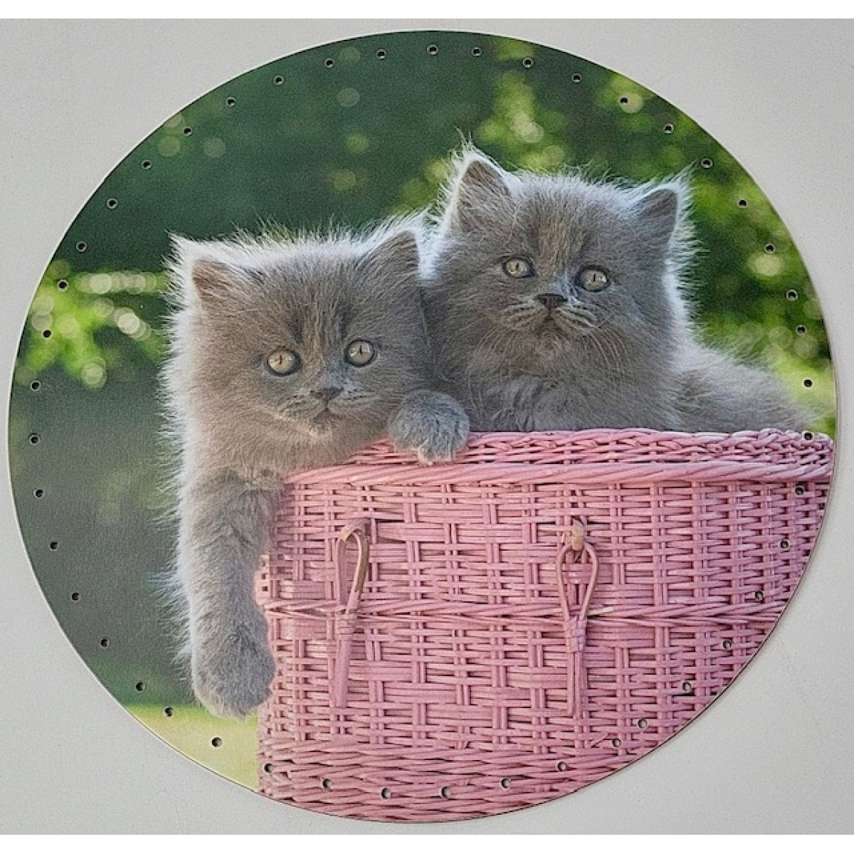 Background 29 cm - melamine Grey kitten