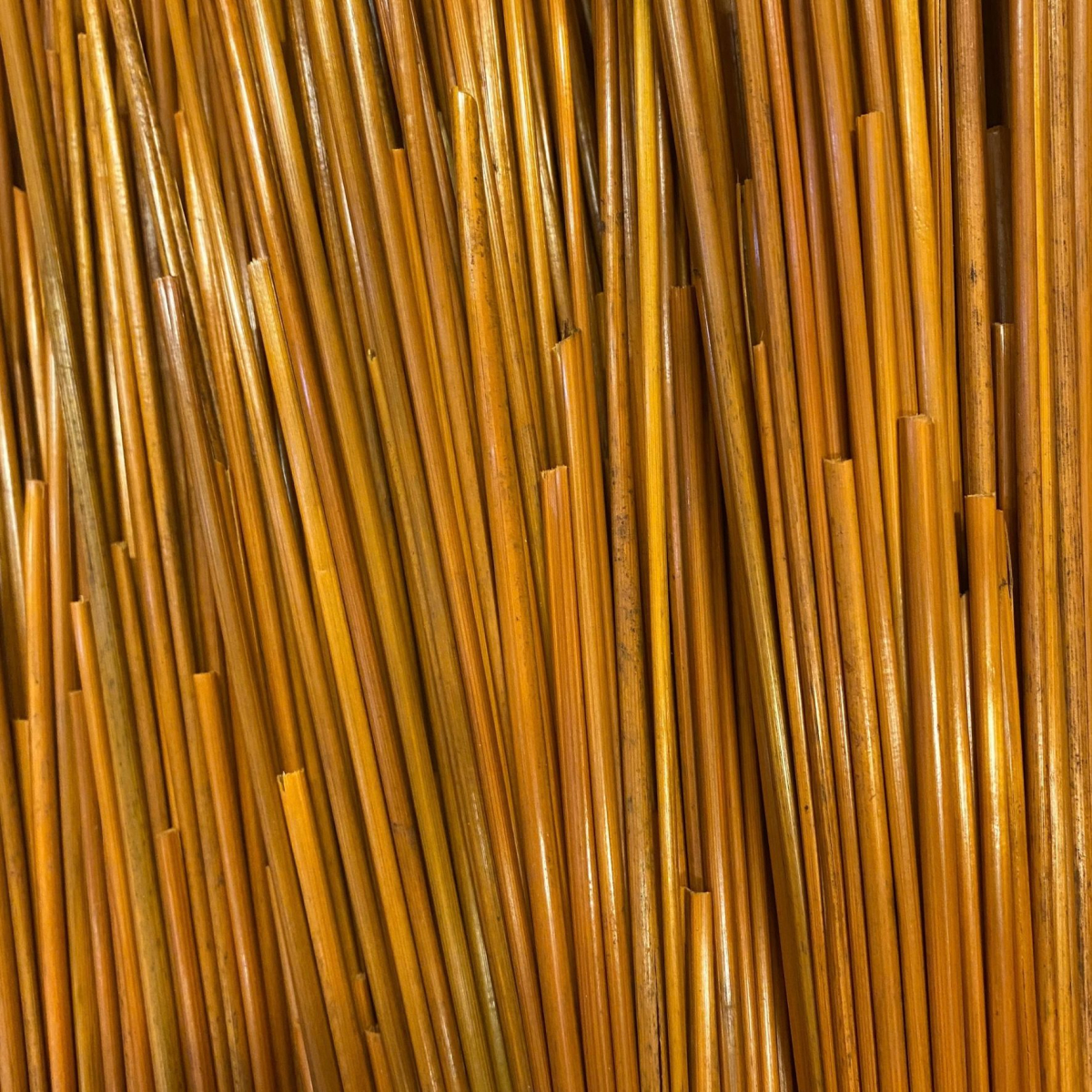 Paille de seigle couleur orange ambré - Edition limitée - 50 gr