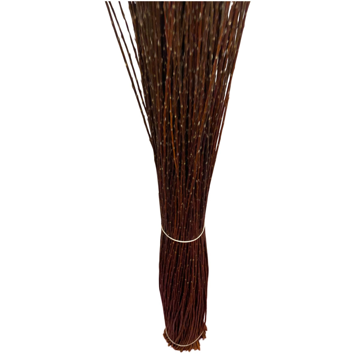 Osier buff naturel brut – Longueur 180 cm - Botte de 2.5 kg