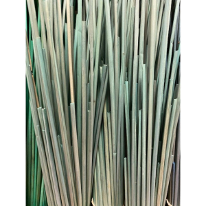 Paille de seigle couleur vert d'eau - 50g