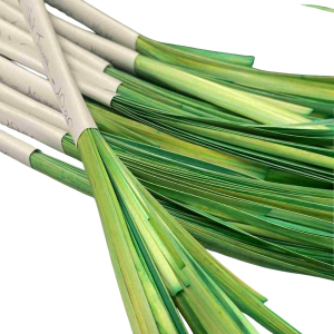 Flattened Rye Straw - Yellow Green - 10 gr