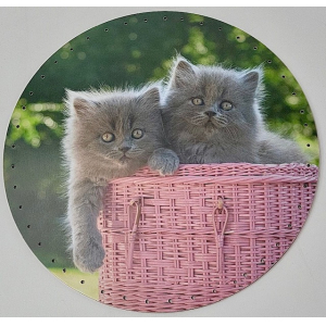 Background 29 cm - melamine Grey kitten