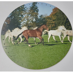 Background 29 cm - melamine Horses
