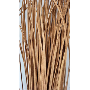 Flat oval rattan core bronze in hank 500 g