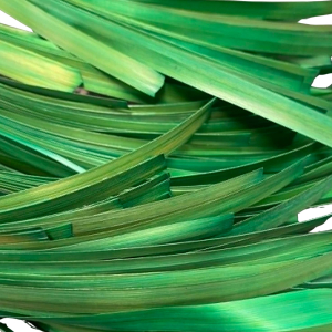 Paille de seigle Aplanie - Citron Vert - 10 gr