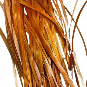 Flattened Rye Straw - Orange - 10g