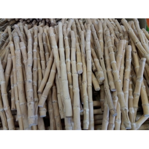 Racine de bambou - 50 cm