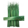 Paille de seigle couleur vert brillant - 50g