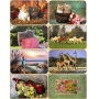 Background 45 x 30 cm - melamine Bouquet of roses